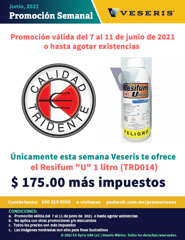 Ver todas las Promociones Veseris