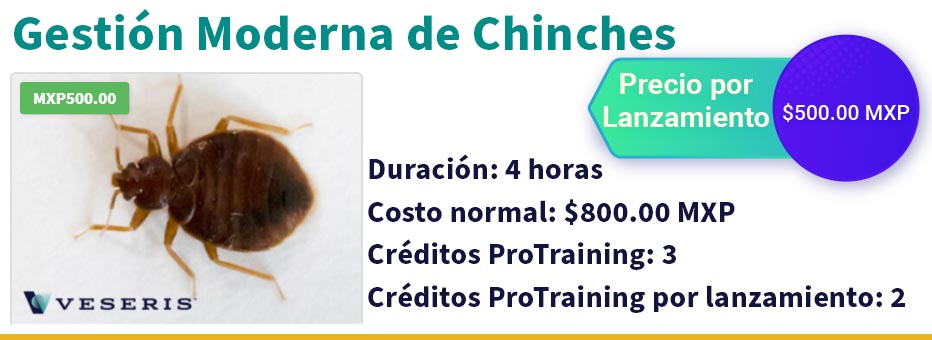 Curso-GMCH-13-sep.jpg