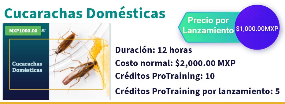 Curso-cucarachas-domesticas-13sep.jpg