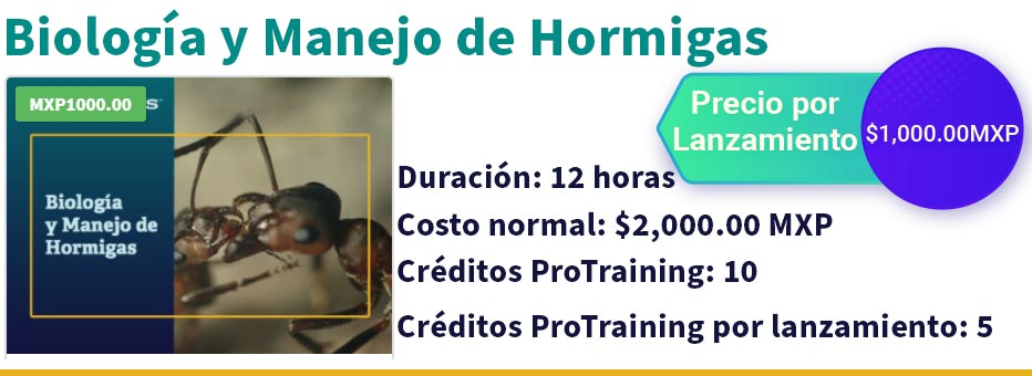 Curso-hormigas13-sep.jpg