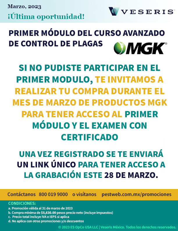 Modulo_1_Curso_Avanzado_promocion.jpg