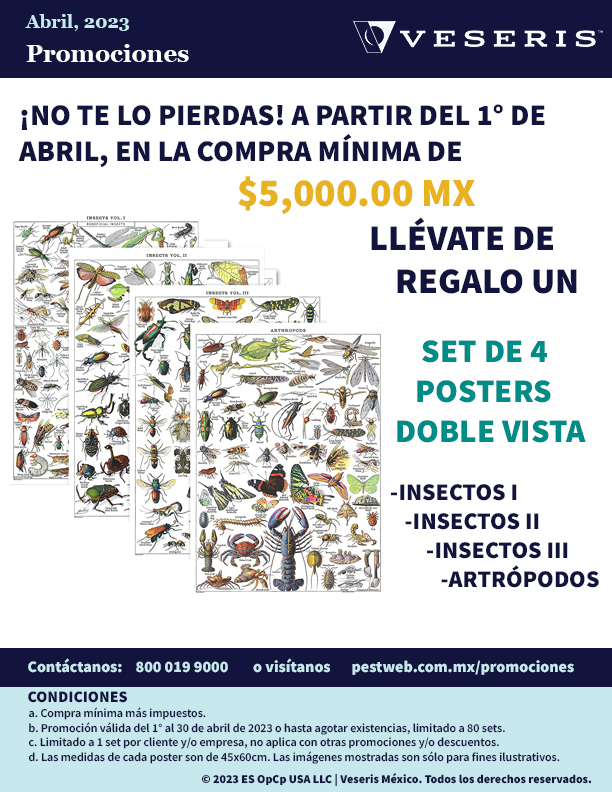 PostersInsectos2023-3.jpg